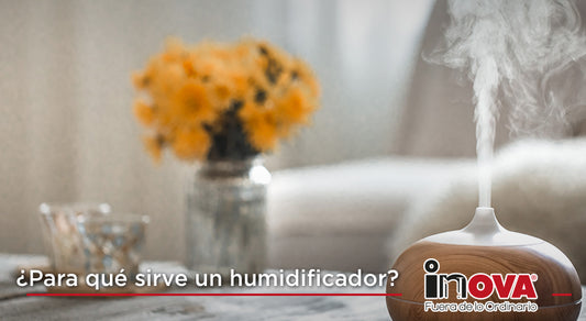 ¿Para qué sirve un humidificador?
