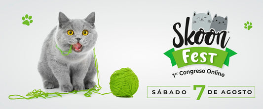 Skoon Fest congreso online
