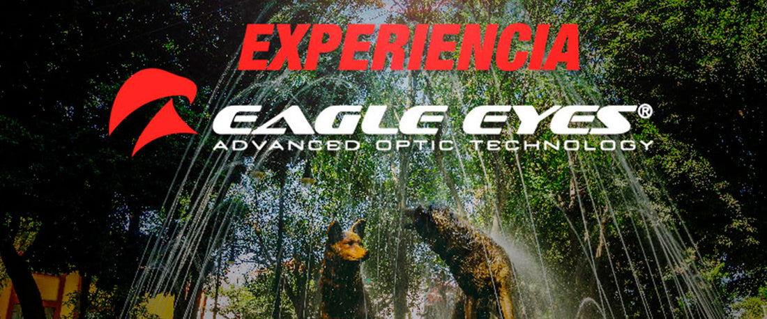 Imagen del centro de Coyoacán donde las personas dieron opiniones reales de Eagle Eyes.