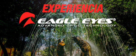 Imagen del centro de Coyoacán donde las personas dieron opiniones reales de Eagle Eyes.