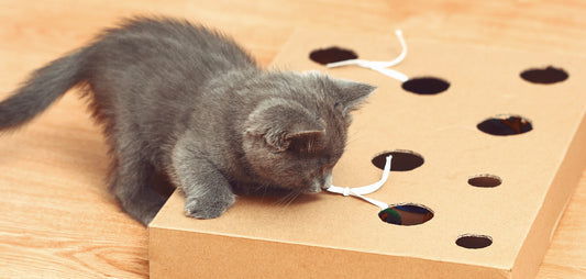 juguetes para gatos hechos en casa