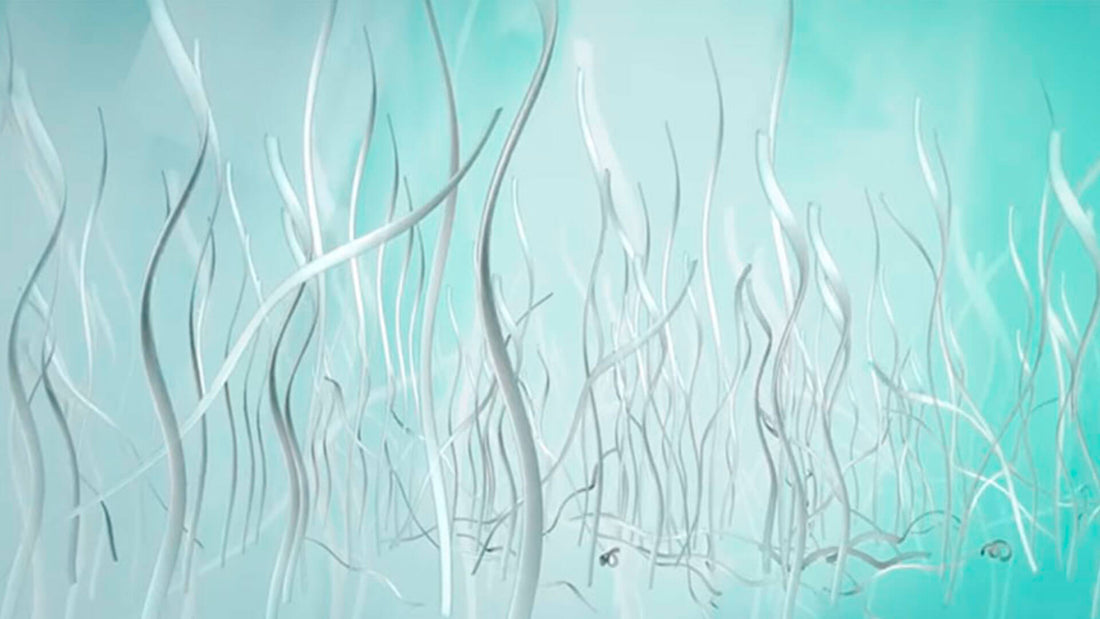 Imagen de las microfibras de gel, relleno de todas las almohadas soñare.