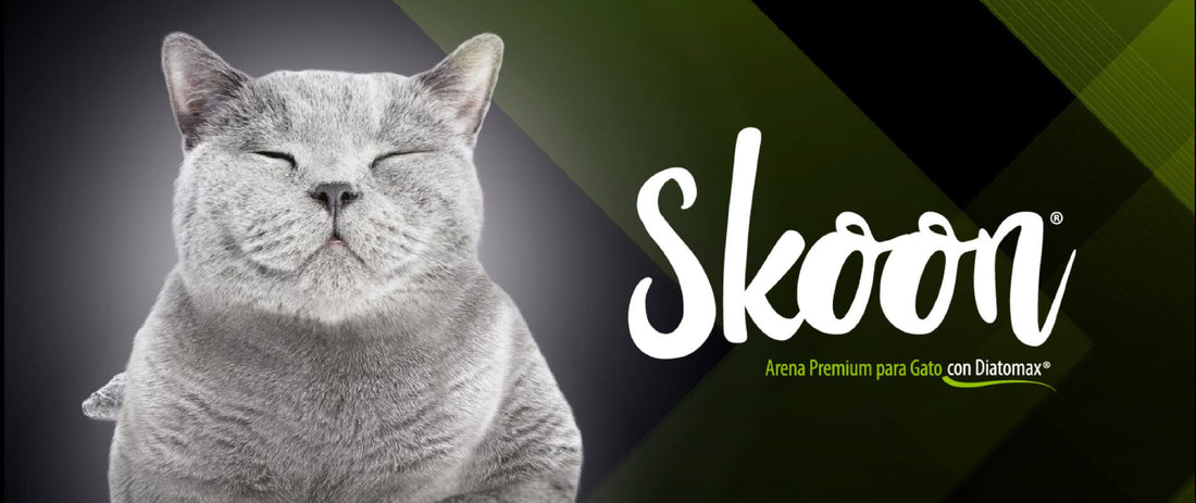 ¿Conoces Skoon®? La nueva arena para gatos que cambiará tu vida