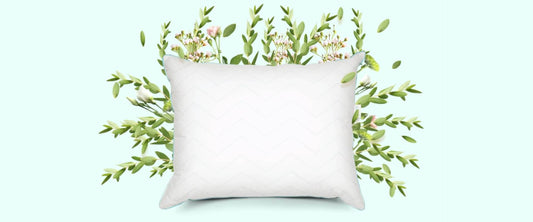 Duerme al natural con la nueva Sognare® Eucalipto