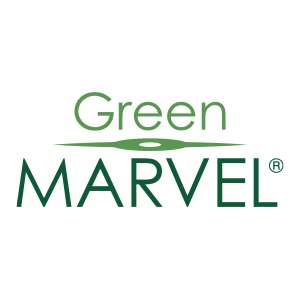 Logo_Green_Marvel-Inova