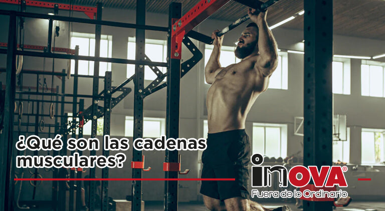 ¿Qué son las cadenas musculares?-Ejercicio