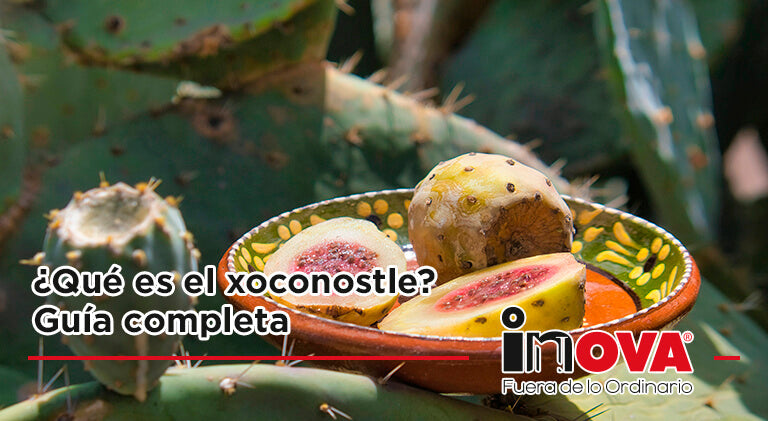 ¿Qué es el xoconostle? Guía completa-Inova News