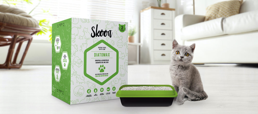Duo Pack Skoon® presentación edición especial