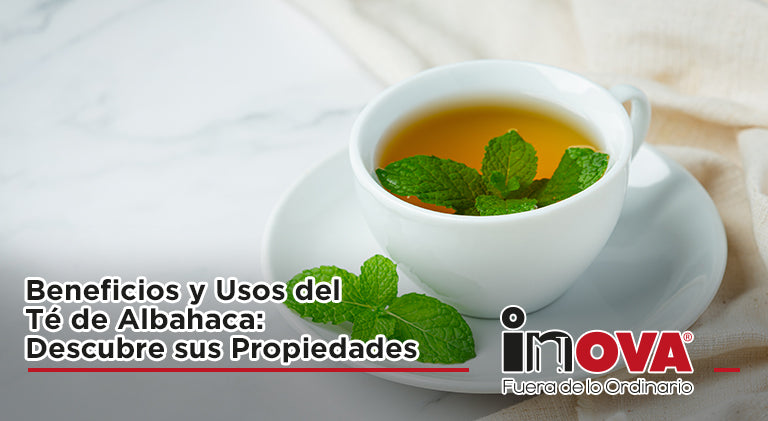 Beneficios y Usos del Té de Albahaca: Descubre sus Propiedades-Inova News