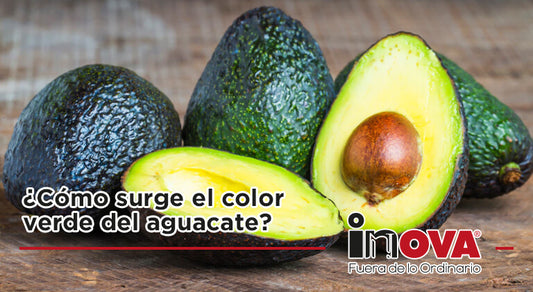 ¿Cómo surge el color verde del aguacate?