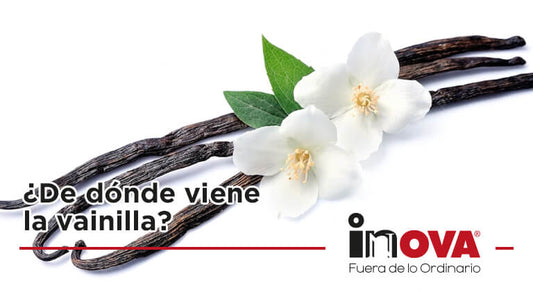 De donde viene la vainilla