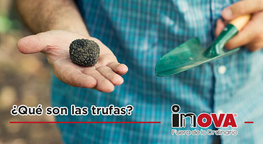 ¿Qué son las trufas?