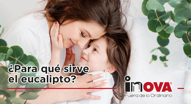 ¿Para qué sirve el eucalipto?-Inova News