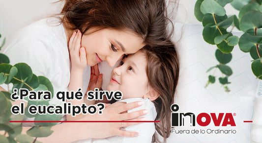 ¿Para qué sirve el eucalipto?-Inova News