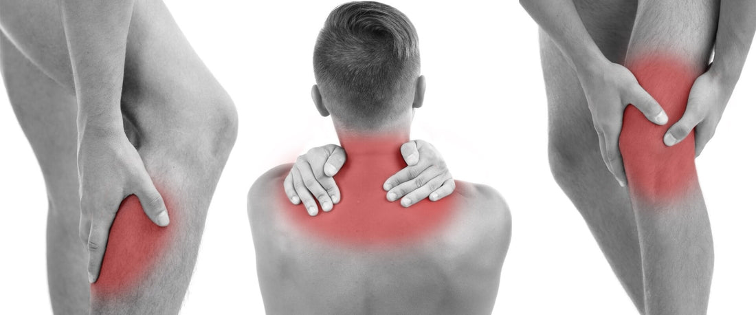 Reactiva tu circulación y olvídate del dolor con Circulation Promoter de DR. HO’S