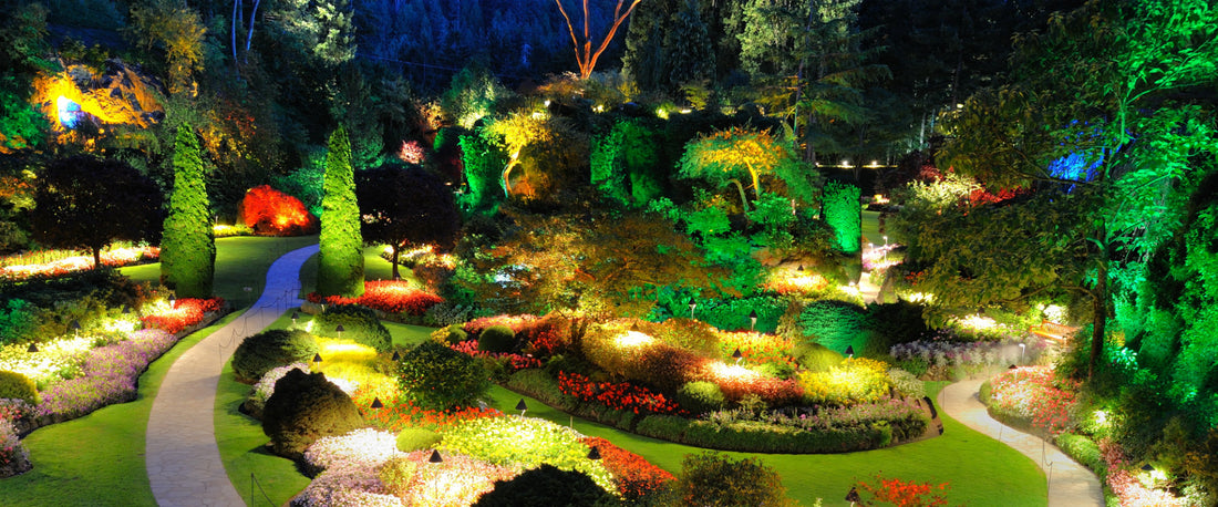 Jardín decorado con luz