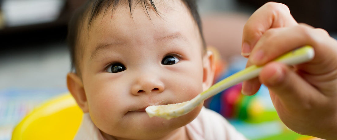 5 papillas para bebé que puedes hacer con Deus Kitchen