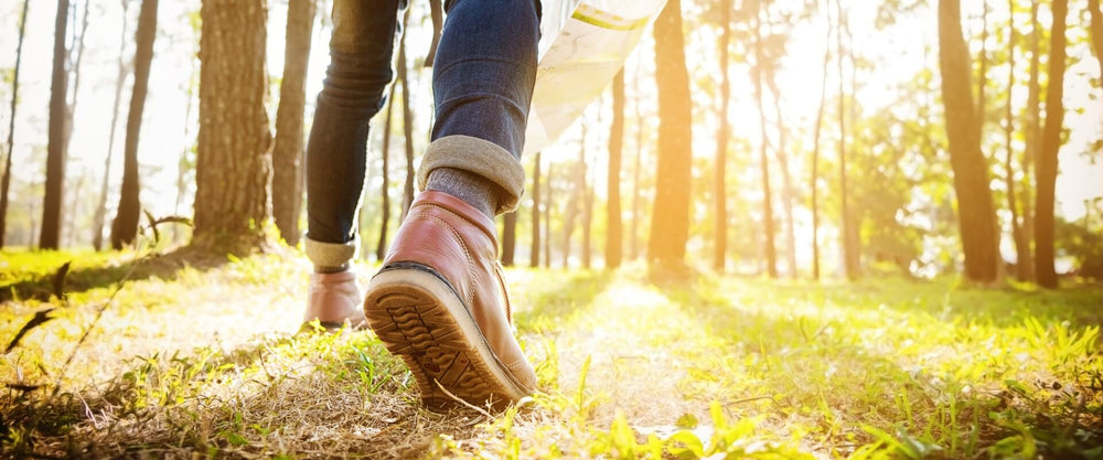 caminar-pies-bosque