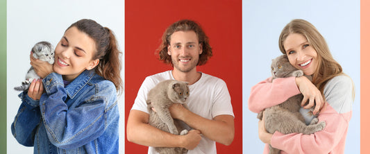 Gatos con sus dueños