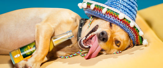 Tips para evitar la cruda estas fiestas patrias