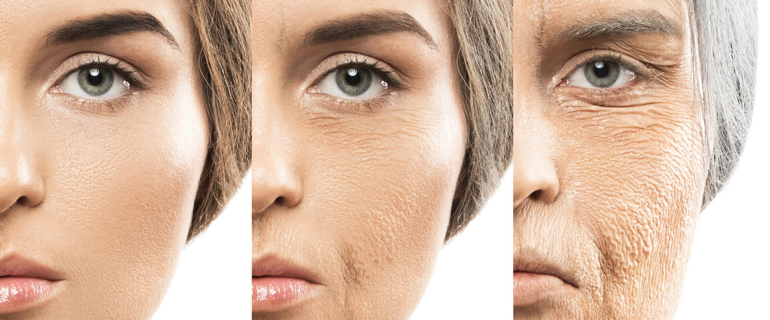 Perdida de colágeno en el rostro