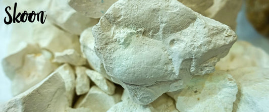 Skoon®: Te explicamos que son las diatomeas