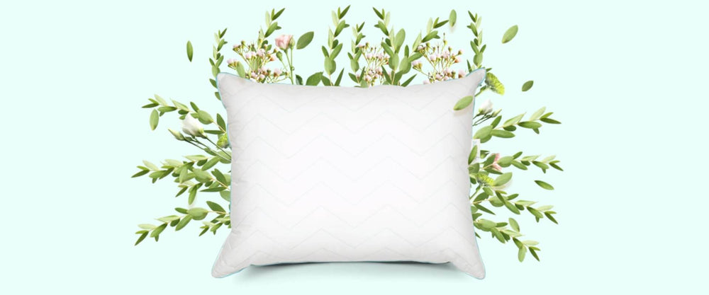 Duerme al natural con la nueva Sognare® Eucalipto-Inova News