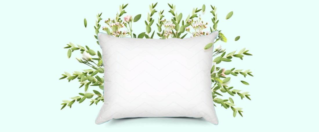 Duerme al natural con la nueva Sognare® Eucalipto