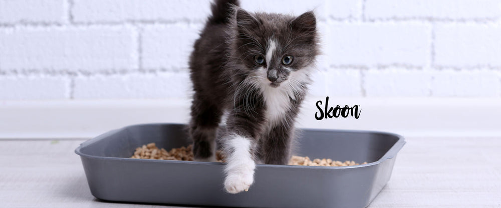arenero y arena para gatos Skoon