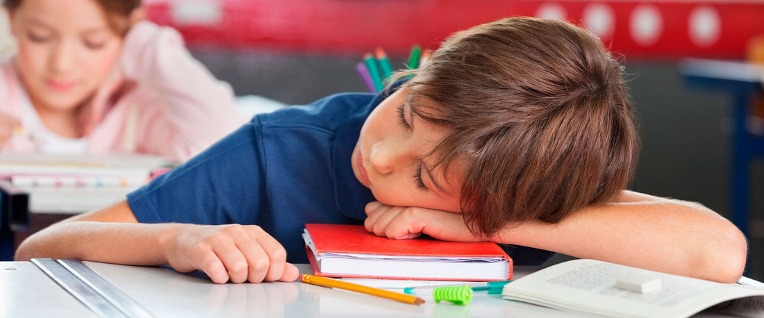 Niño durmiendo en clase por tener un trastorno del sueño.