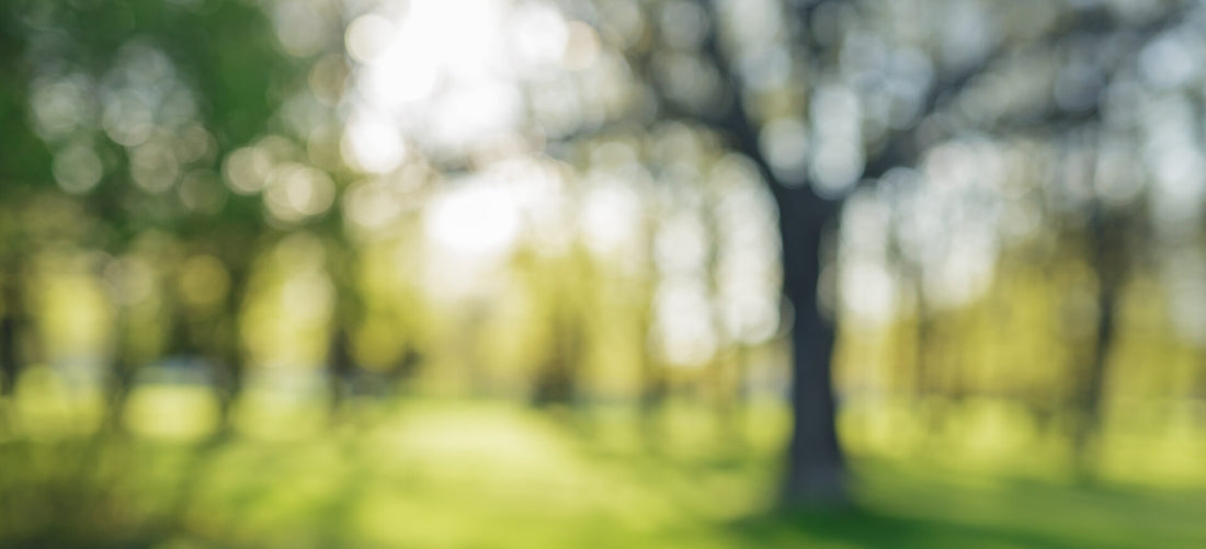 presbicia o vista cansada