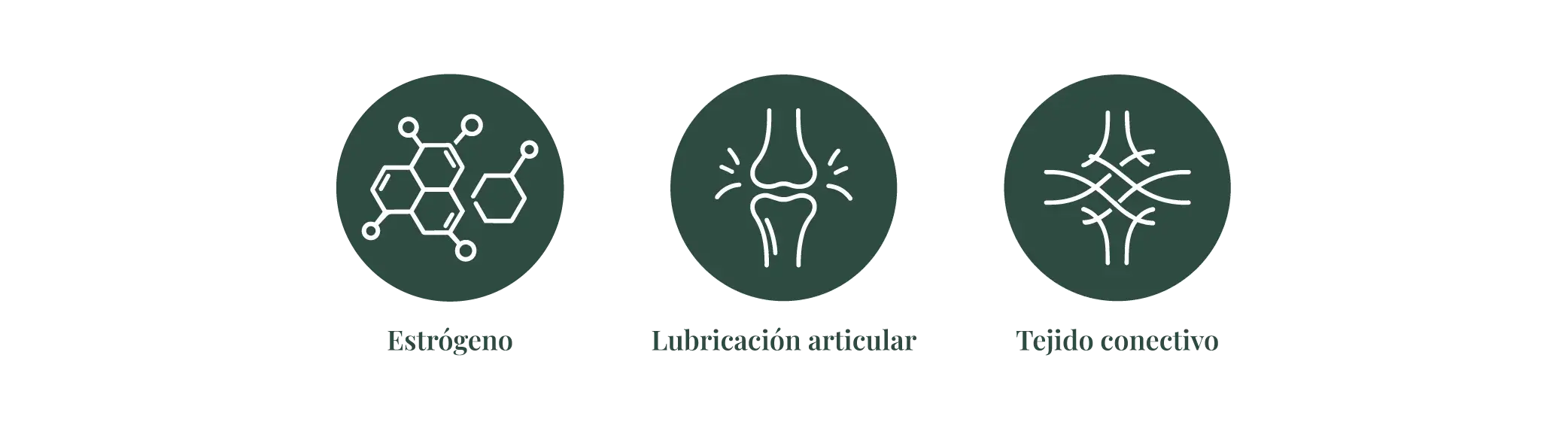 Infografía: Estrógeno → lubricación articular → tejido conectivo